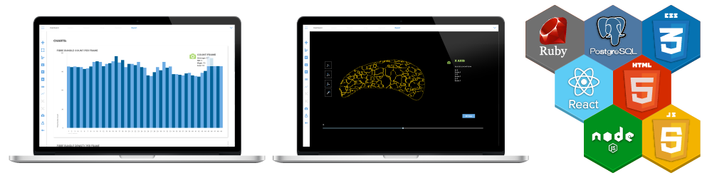 Ultrasound Processing Application to Blackbox API